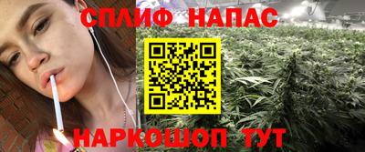 гидра Малоярославец